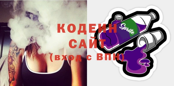 индика Пестово