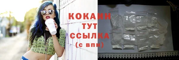 apvp Богородицк