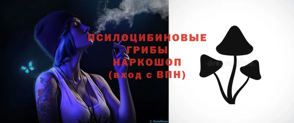 тгк Переславль-Залесский