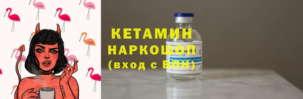 индика Пестово