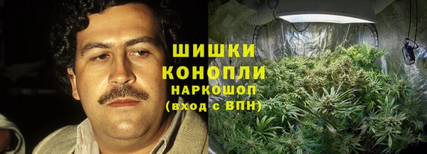 apvp Богородицк