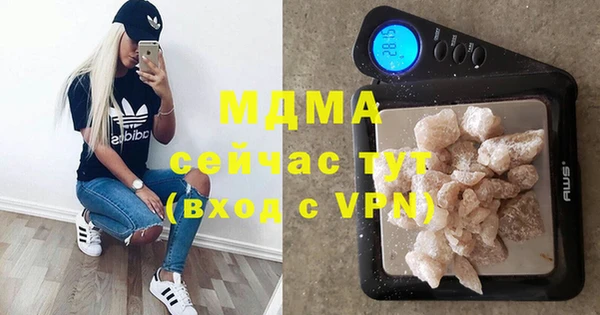 индика Пестово