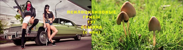тгк Переславль-Залесский