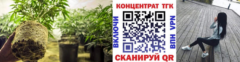 Дистиллят ТГК Wax  где найти наркотики  Кола 